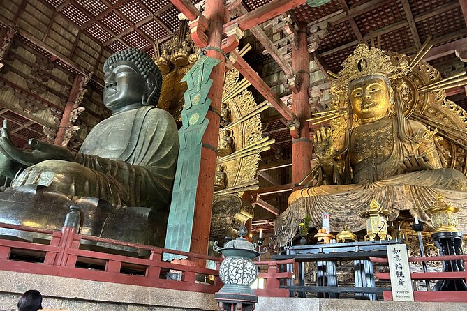 No Emission Car Nara Private Tour From Kyoto With Japanese Guide - Discovering Iconic Temples