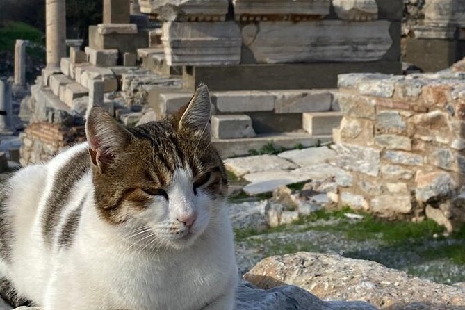 NO HIDDEN COSTS : Ephesus, Virgin Marys House, St. John Basilica - Additional Information