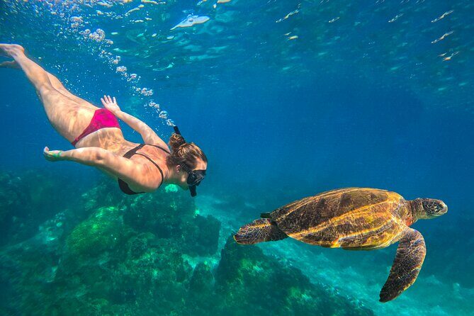 No Rush Morning & Afternoon 5 Stop Snorkeling tour for Koh Tao - Key Points