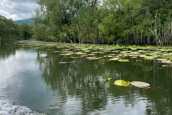 Noahs Ark Skadar Lake Journey - Snacks, Drinks, and Beverages