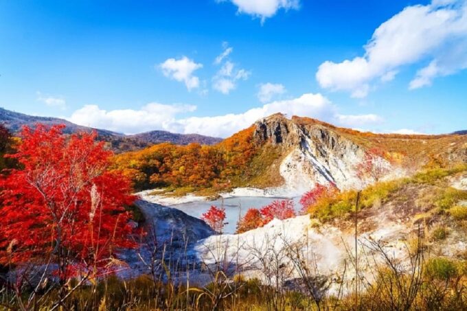Noboribetsu: Jigokudani & Toya 1 Day Tour From Sapporo - Seasonal Highlights