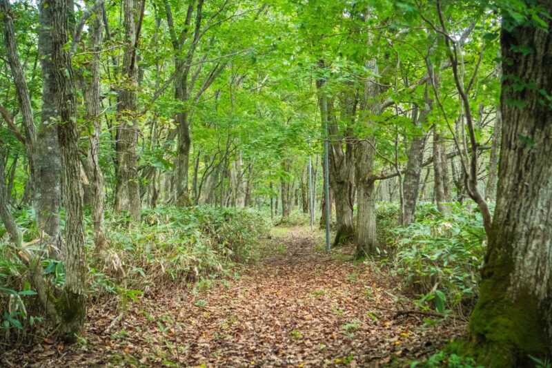 Noboribetsu: Lake Tachibana Hiking - Key Points