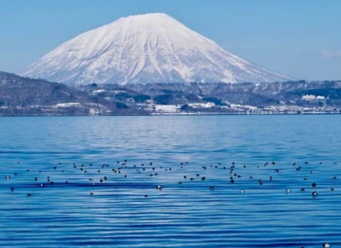 Noboribetsu Lake Toya & Otaru Panoramic One Day Tour - Customer Feedback and Complaints