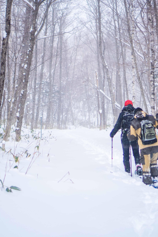 Noboribetsu: Snowshoe Trip to Ice Caves - Included in the Tour