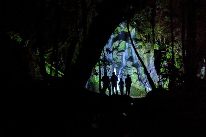 Nocturnal Adventure Glow-Worm Tour - Tour Inclusions