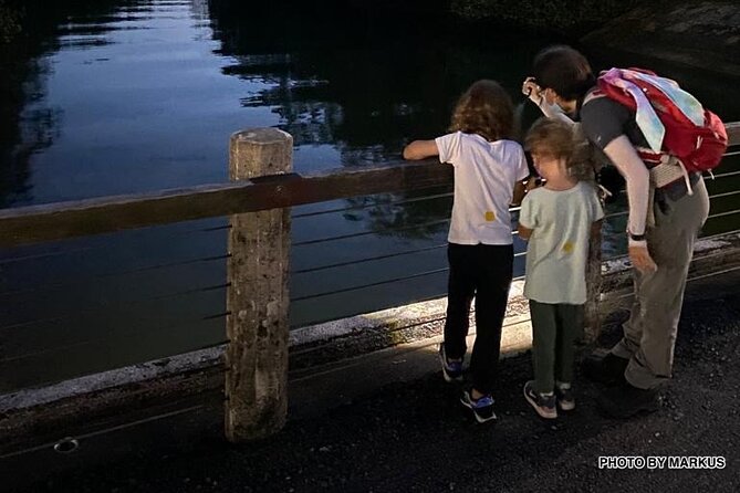Nocturnal Secrets: A Mangrove Adventure - Identifying Animal Sounds and Calls