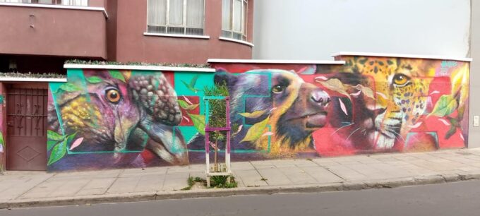 NOCTURNAL Walking City Tour - Smells Like La Paz Spirit - Inclusions and Meeting Point