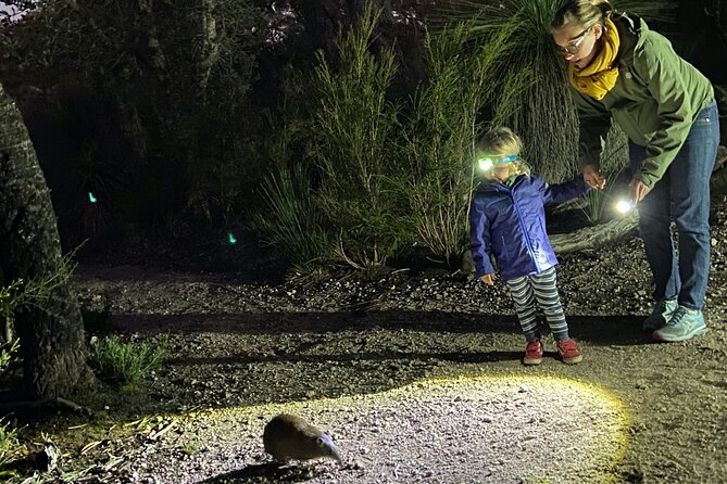 Nocturnal Wildlife Tour From Busselton or Dunsborough - Pickup Details