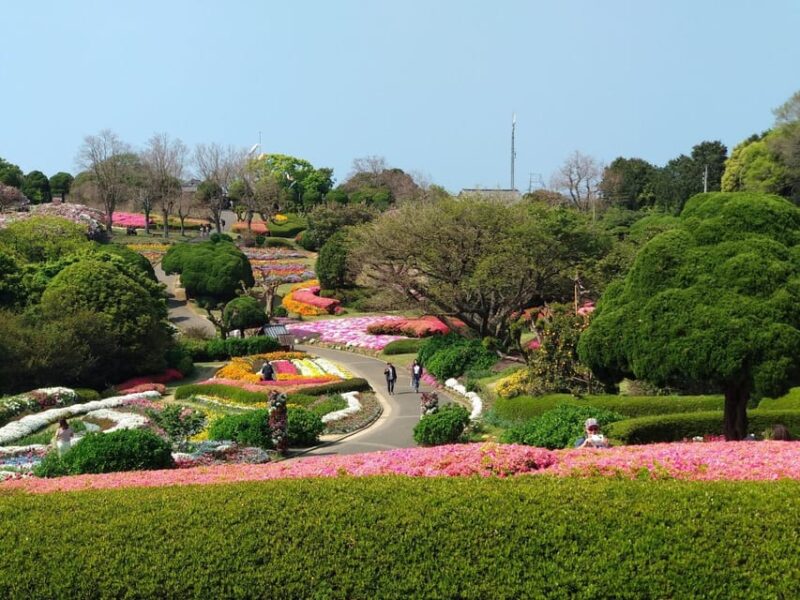 Nokonoshima Island Park: Garden Tour & Wagyu BBQ Lunch - Experience Highlights