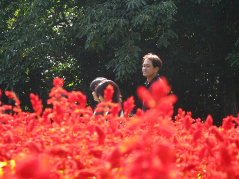 Nokonoshima Island Park: Garden Tour & Wagyu BBQ Lunch - Inclusions and Activities