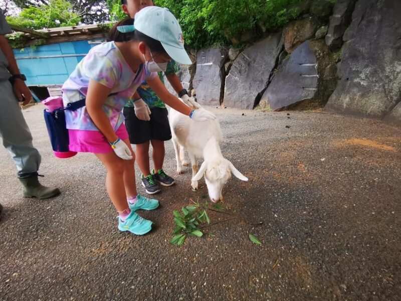 Nokonoshima Island Park: Garden Tour & Wagyu BBQ Lunch - Important Guidelines