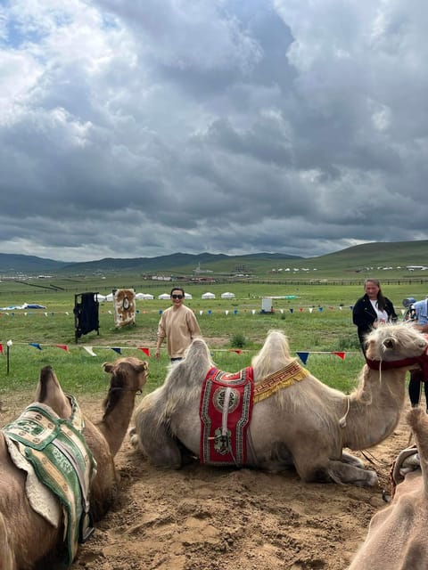 Nomadic by Nature - Key Points