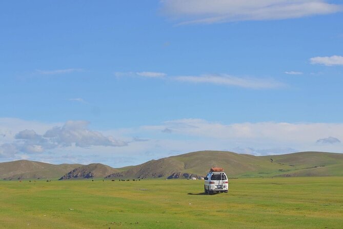 Nomadic Family Experience Day - Reviews and Cancellation Policy