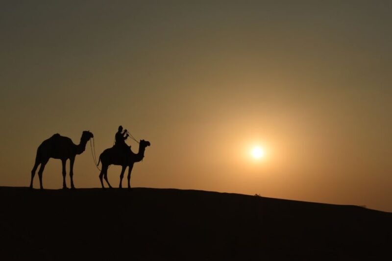Nomadic Non-Touristic Overnight Camel & Desert Safari Tour - Included and Excluded