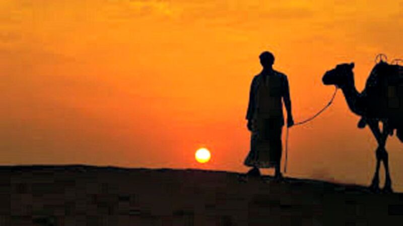 Nomadic Non-Touristic Overnight Camel & Desert Safari Tour - Customer Reviews and Ratings