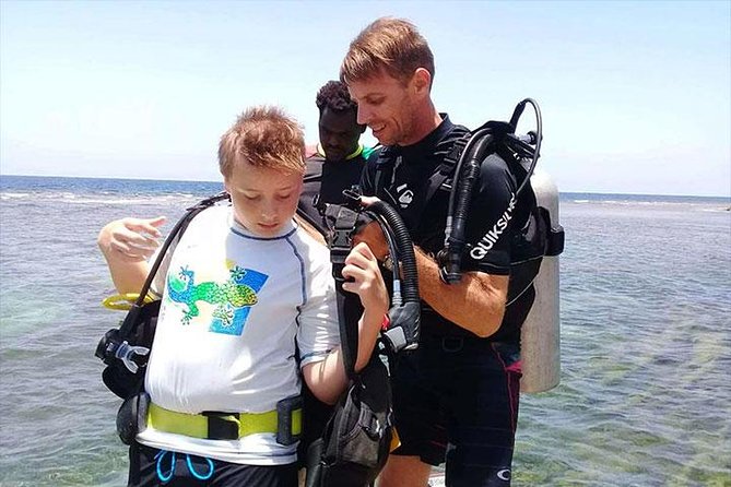 Non Certified Diving Experience Plus Transportation - Key Points