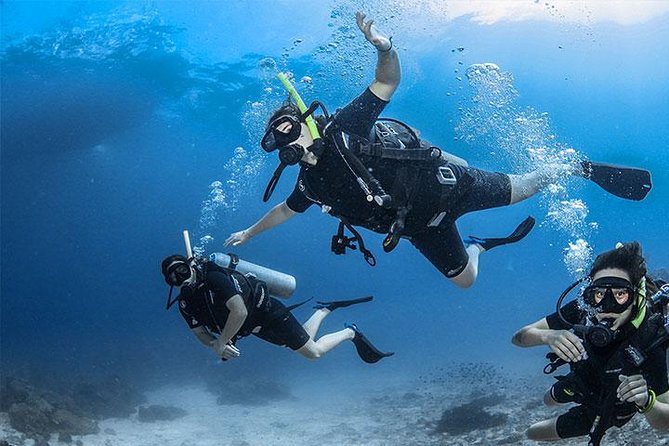 Non Certified Diving Experience Plus Transportation - Availability and Pricing
