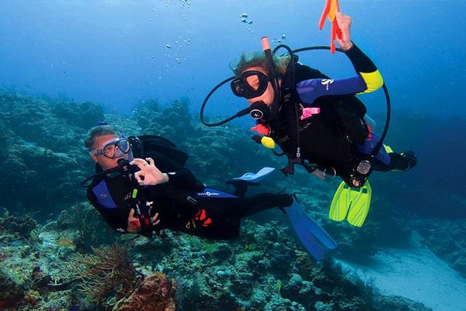 Non Certified Diving Experience Plus Transportation - Customer Reviews