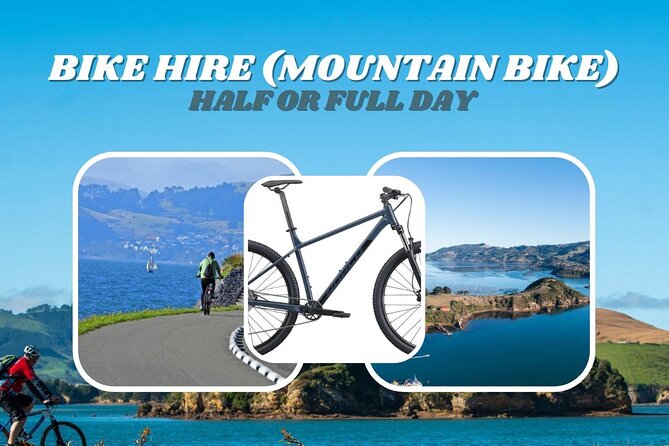 Non-Electric Bike Rental - Included Amenities