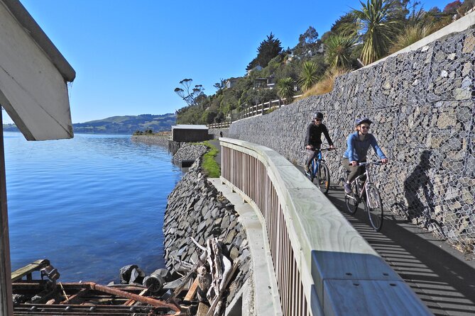 Non-Electric Bike Rental - Exploring the Otago Peninsula