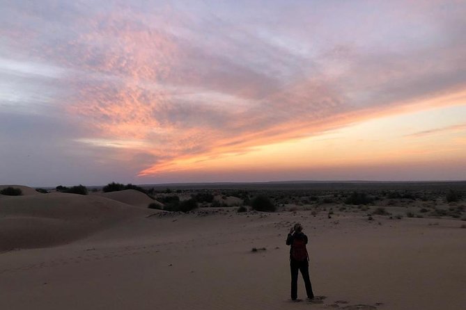 Non Touristic Half Day Camel Safari Thar Desert Sunset - Inclusions