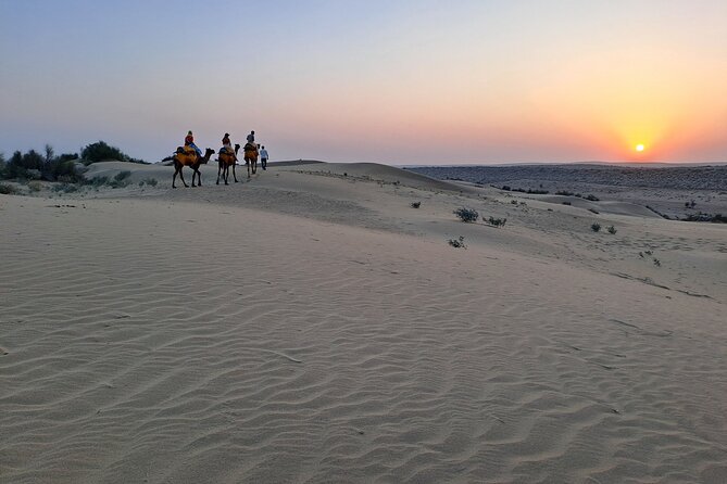 Non-Touristic Overnight Desert Safari and Camping - Good To Know