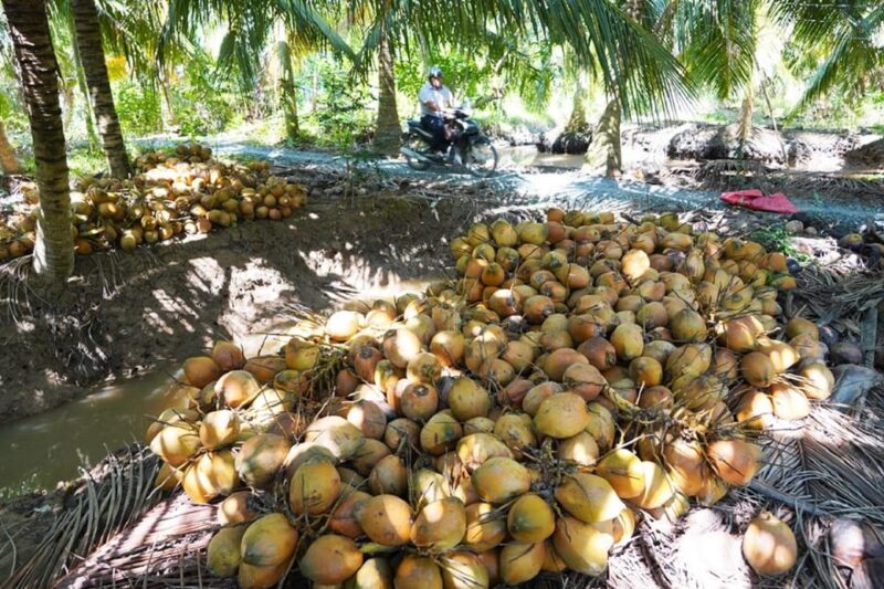Non-Touristy: Mekong Delta Day Trip With Biking - What to Bring