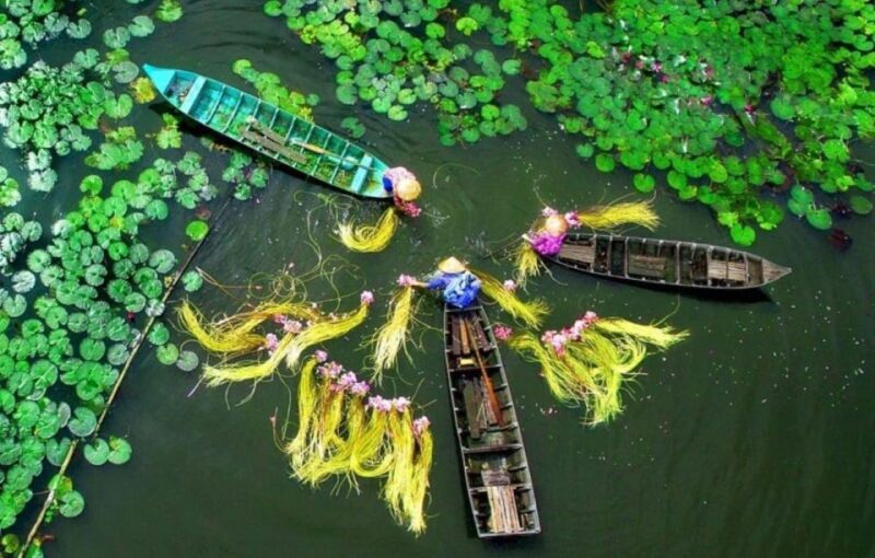 Non-Touristy Mekong Delta With Biking Local Experience - Key Points