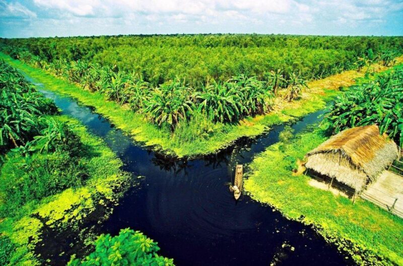 Non-Touristy Mekong Delta With Biking Local Experience - Highlights of the Tour