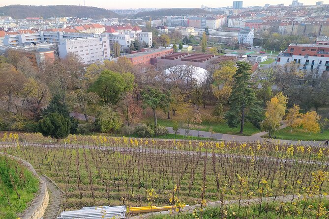 Non-touristy Prague - Cozy Neighborhoods - Private Tour - Accessibility and Requirements