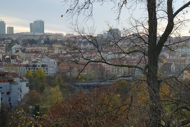 Non-touristy Prague - Cozy Neighborhoods - Private Tour - Cancellation Policy