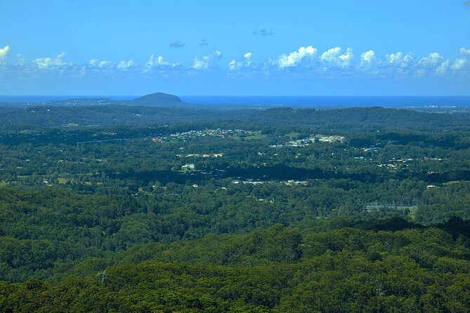 Noosa, Aussie Animals & Glass House Mountains From Brisbane - Pickup and Drop-off Information