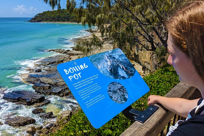 Noosa, Aussie Animals & Glass House Mountains From Brisbane - Accessibility and Requirements