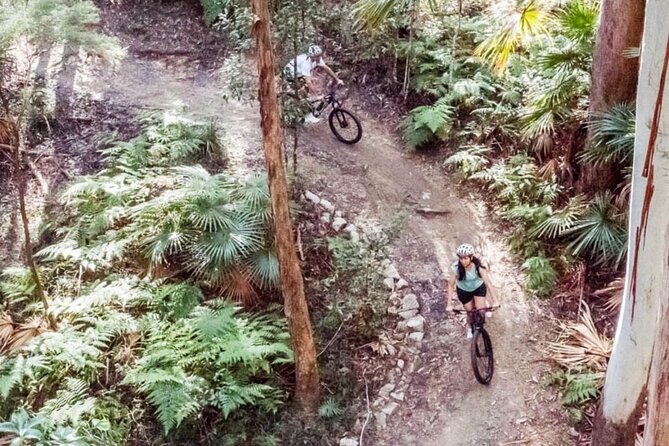Noosa Emtn Bike Tour: Exploring a National Park on Fun MTB Trails - Positive Reviews and Ratings