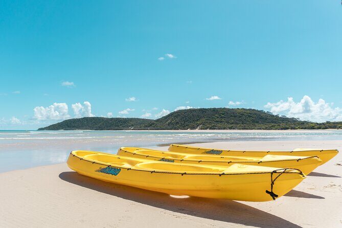 Noosa: Epic Whale Watching On Ocean Kayaks & Beach 4X4 Tour - Food, Snacks, and Extras