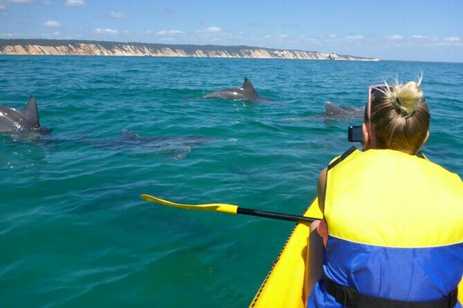 Noosa: Epic Whale Watching On Ocean Kayaks & Beach 4X4 Tour - Weather and Cancellation Policy
