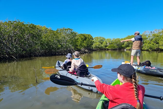 Noosa Everglade Kayak -South/Noosa End - Searching for Stingrays! - Meeting Point and Accessibility