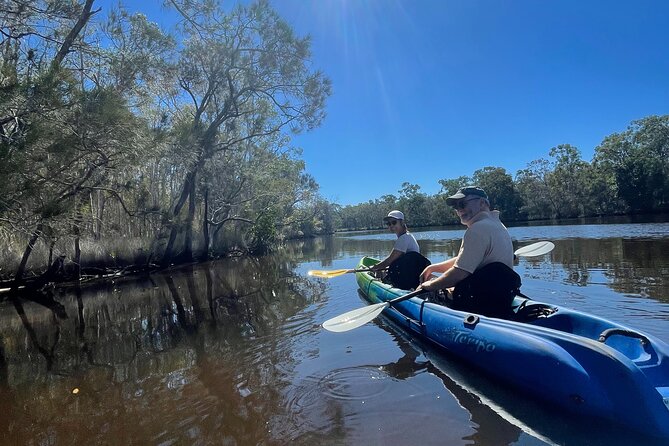 Noosa Everglade Kayak -South/Noosa End - Searching for Stingrays! - Spotting Stingrays in Their Habitat