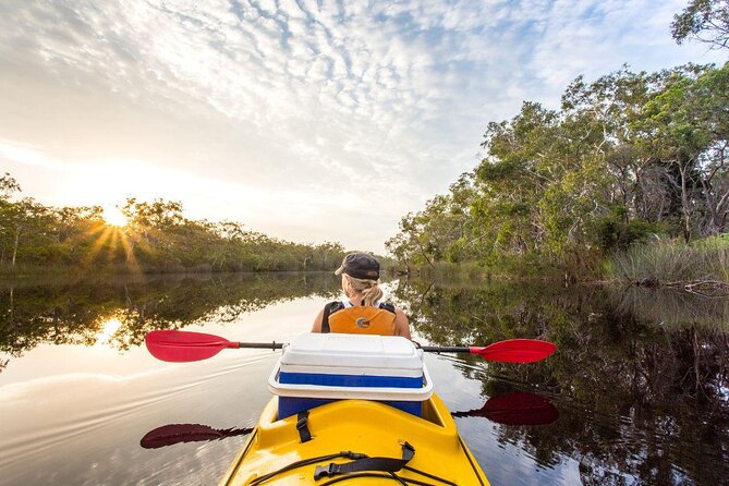 Noosa Everglades Cruise and Highlights Private Tour Inc. Lunch - Key Points