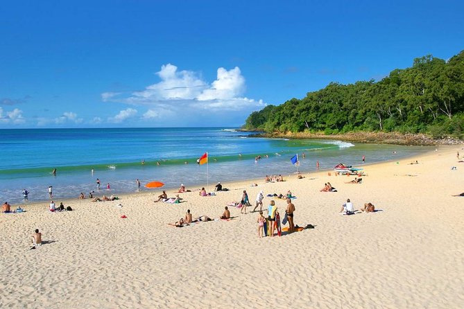 Noosa Everglades Cruise and Highlights Private Tour Inc. Lunch - Booking Information
