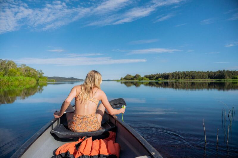 Noosa: Everglades Explorer Cruise With Optional Canoeing - Key Points