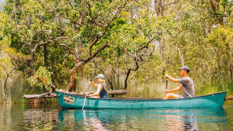 Noosa: Everglades Explorer Cruise With Optional Canoeing - Pickup Locations