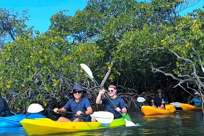 Noosa Heads: Epic Hidden Waterways & Wildlife Kayak Tour - Starting Point and Accessibility