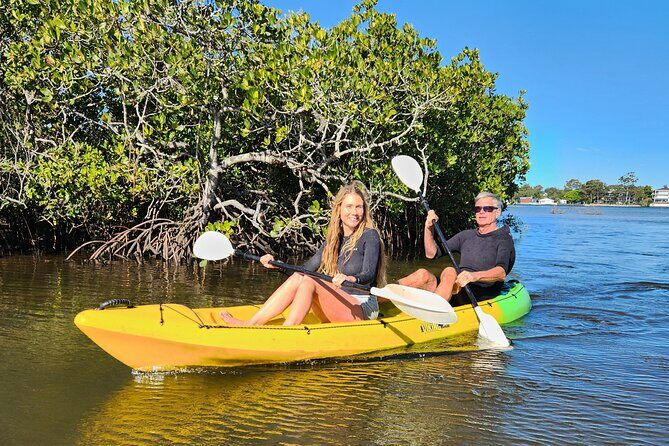 Noosa Heads: Epic Hidden Waterways & Wildlife Kayak Tour - Value and Practicalities