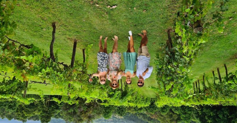 Noosa Heads: Local Gin and Wine Tasting Tour With Lunch - Wine Tasting at Dingo Creek Vineyard