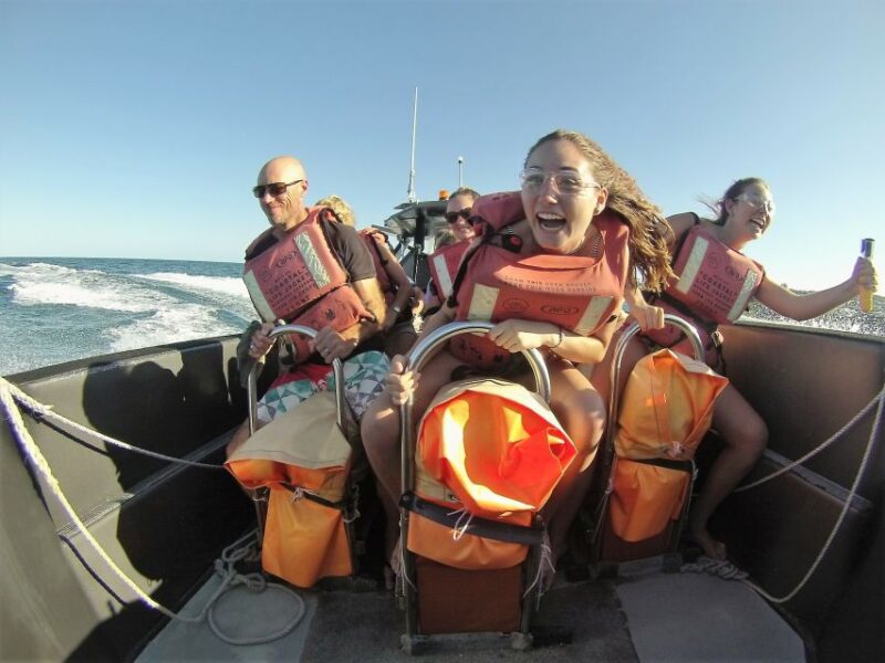 Noosa Heads: Ocean Adventure & Dolphin Safari - Experience Details