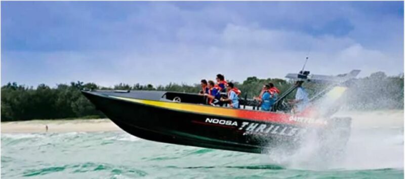 Noosa Heads: Ocean Adventure & Dolphin Safari - Wildlife Encounters