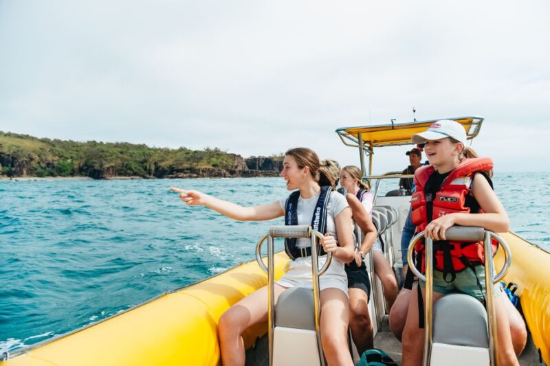 Noosa Heads: Ocean Rider Dolphin Safari - Booking Information