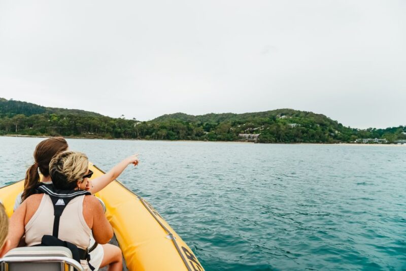 Noosa Heads: Ocean Rider Dolphin Safari - Customer Feedback
