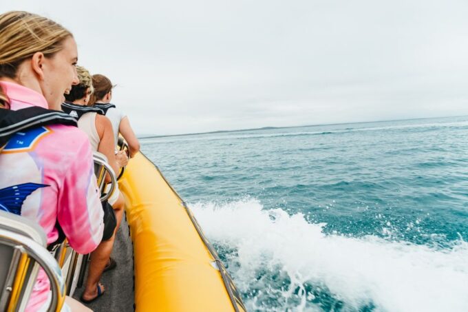 Noosa Heads: Ocean Rider Dolphin Safari - Recap